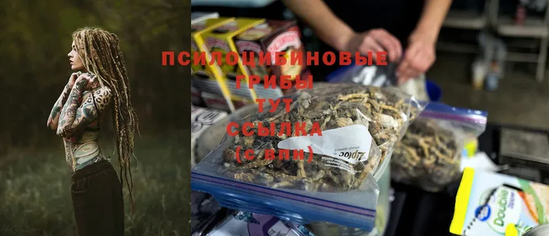 сайты даркнета клад  Игарка  Псилоцибиновые грибы Psilocybine cubensis 